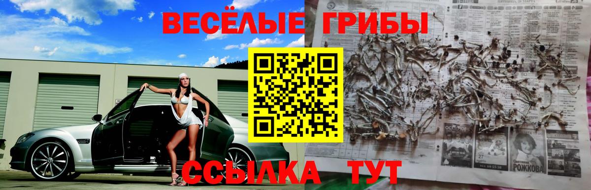 Галлюциногенные грибы мицелий Рязань